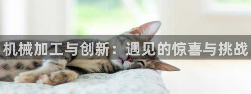 华润娱乐疚92222