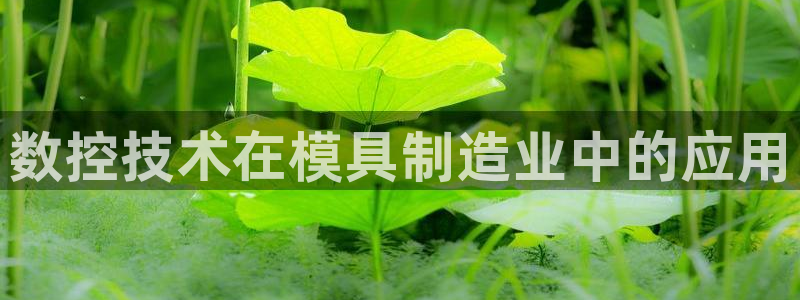 华润娱乐d3指尖