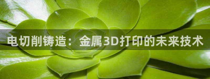 高州华润娱乐项目介绍
