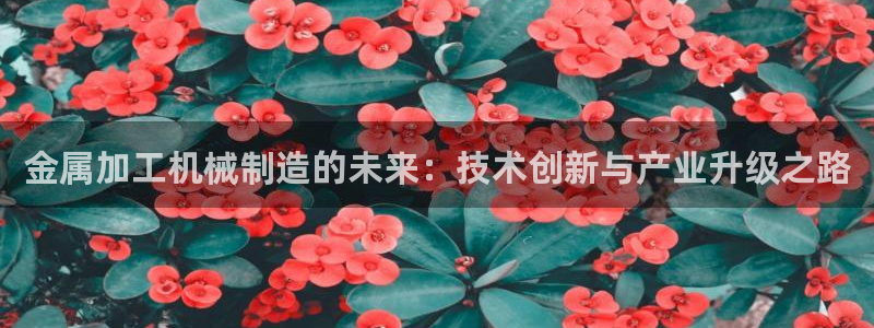 华润娱乐目前经营现状