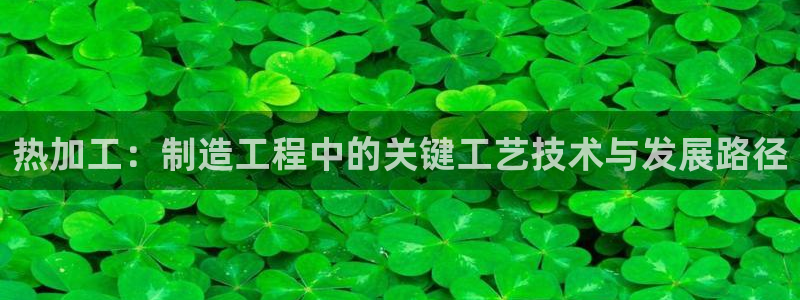 华润娱乐麻将客服电话