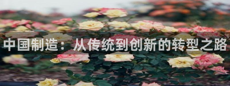 华润娱乐过