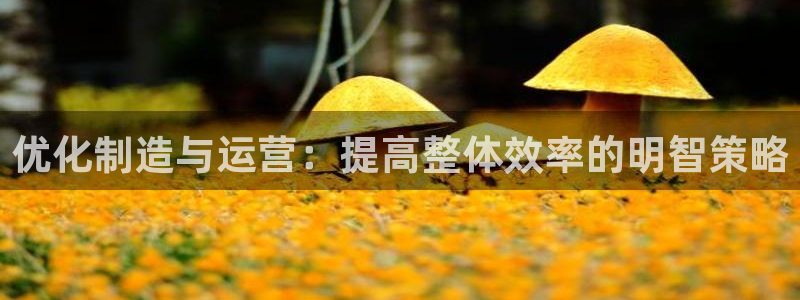华润注娱乐注册