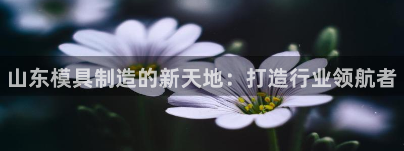 华润娱乐开