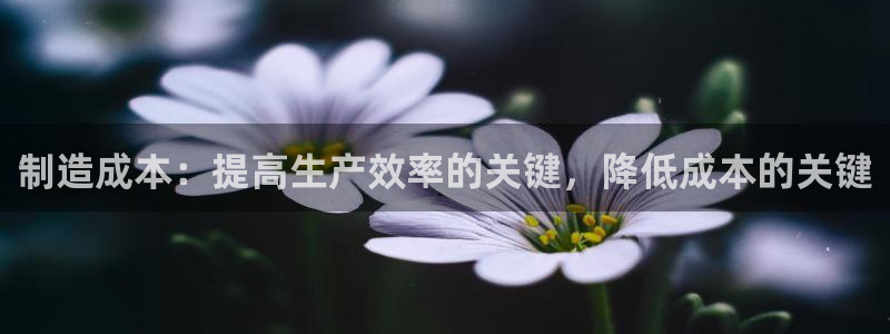 山东华润2娱乐