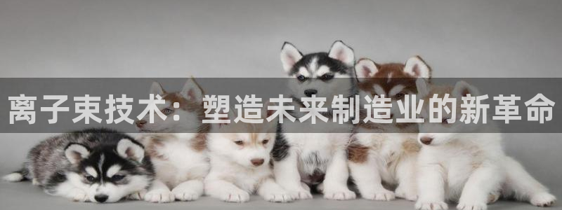 华润娱乐在线