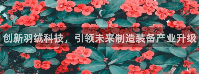 华润娱乐总代