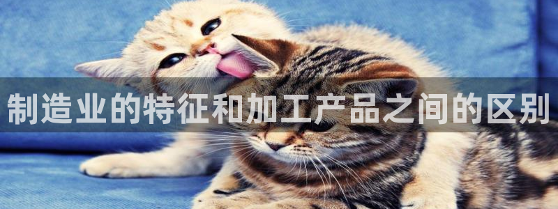 华润娱乐酶 92222