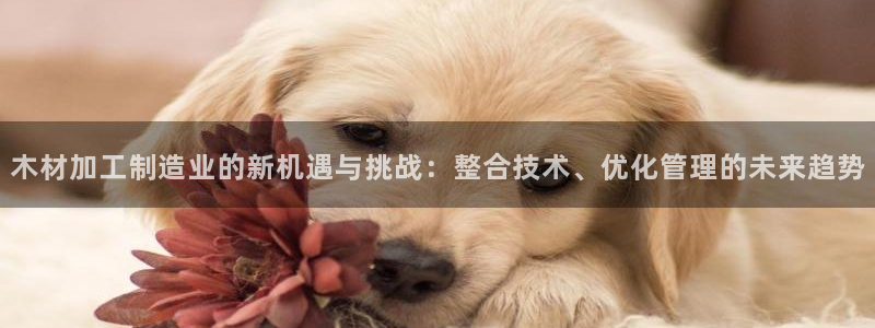 华润娱乐之95692