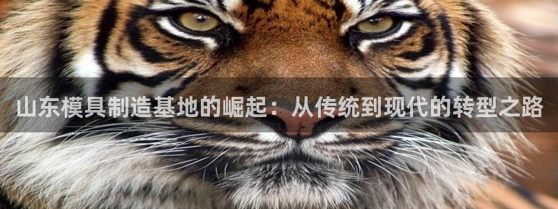 华润娱乐网址