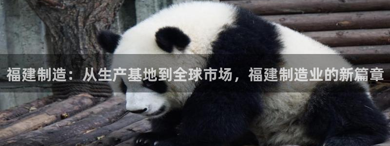 华润娱乐总管是谁呀老板