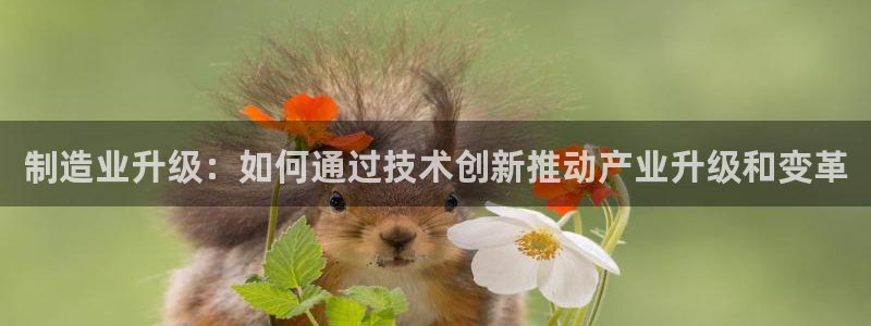 华润娱乐上5指尖