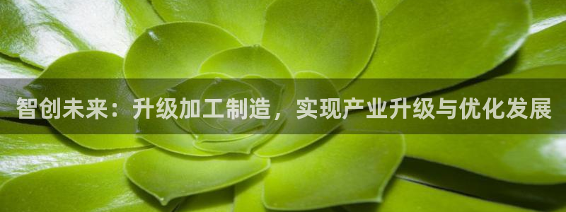 华润电子娱乐