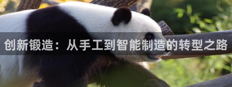 华润娱乐年