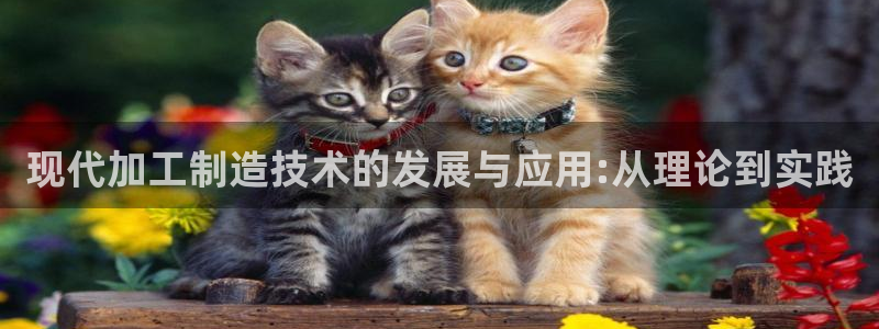 华润娱乐学