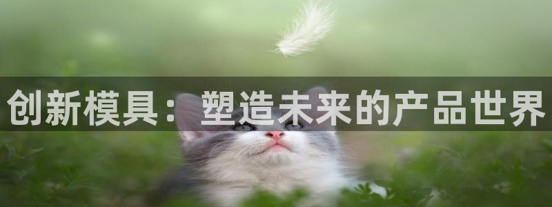 华润娱乐天