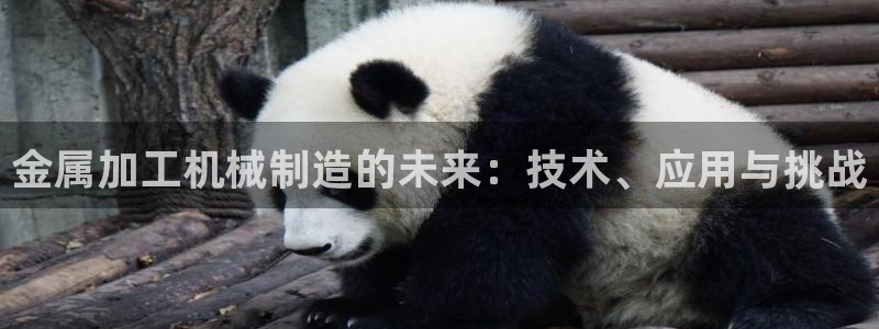 华润娱乐张博