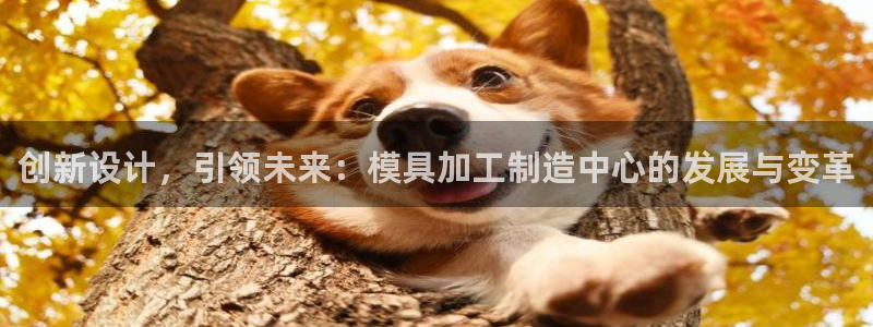 上海华润金丰娱乐娱乐