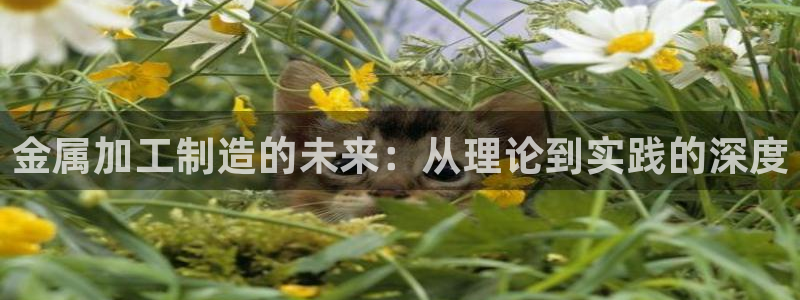 华润娱乐空92222
