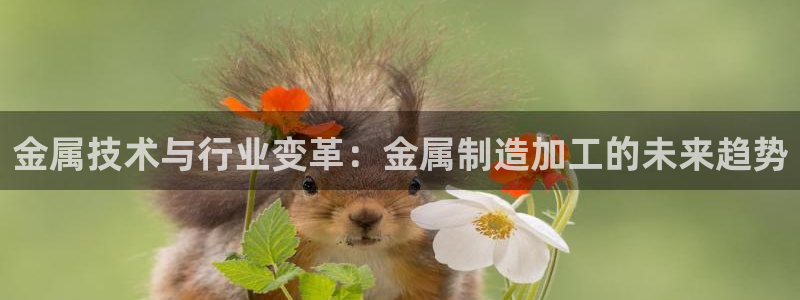 华润娱乐进