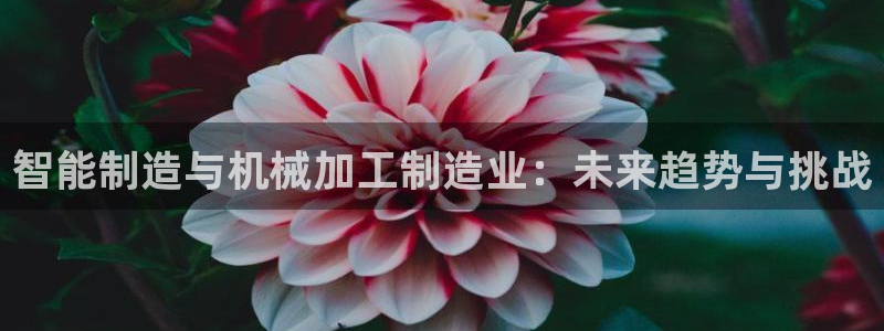 华润娱乐a3指尖