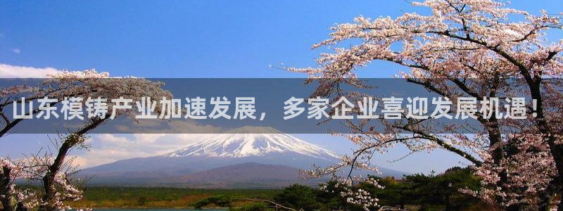 华润集团有娱乐公司吗