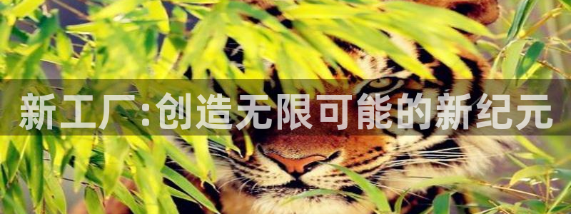 华润娱乐垂92222